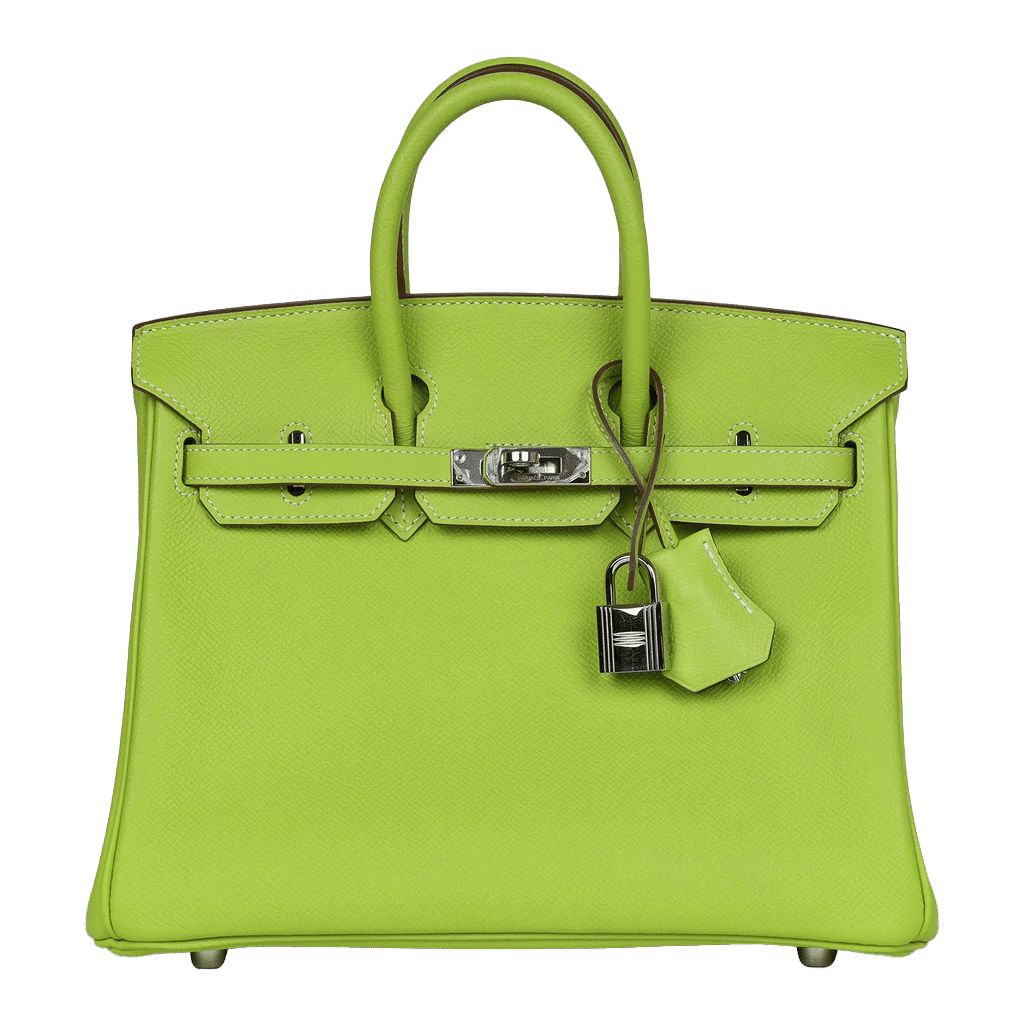 Pre-owned Hermès Birkin 25 Kiwi Candy Epsom Palladium Hardware