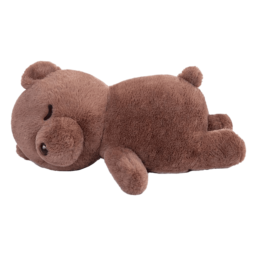 Cute Teddy Bear