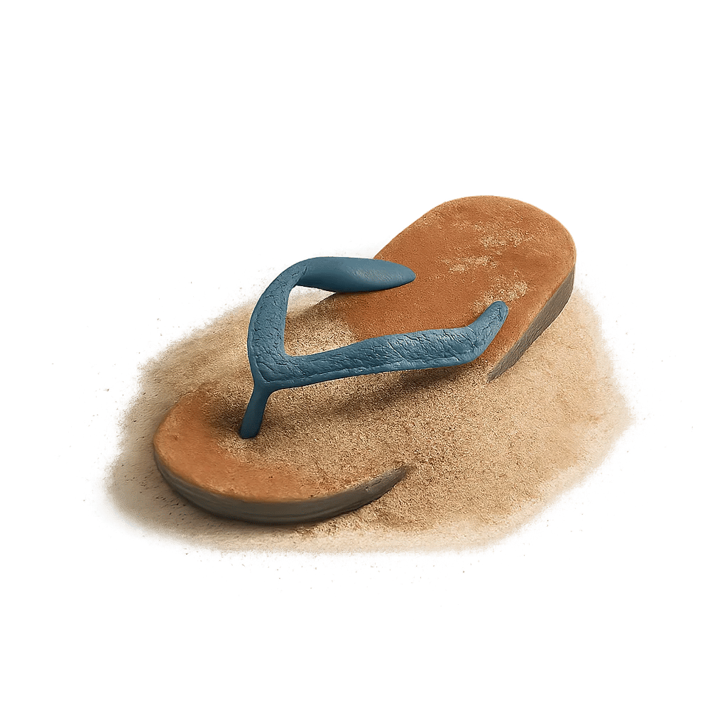 Lost Flip Flop