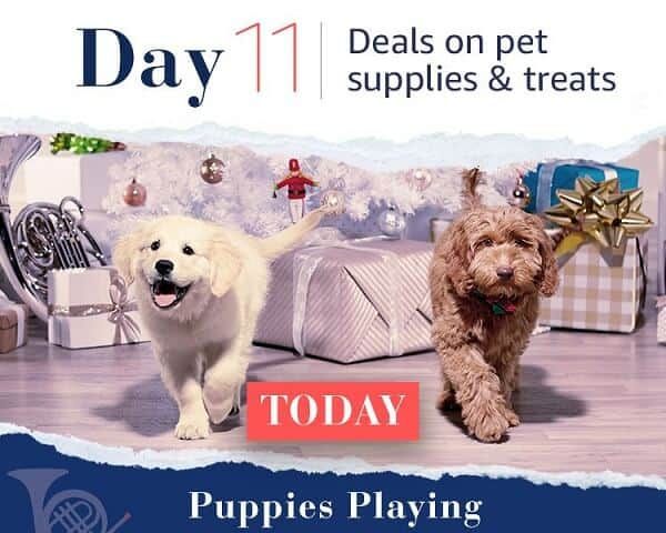 12 Days of Deals - Day 11