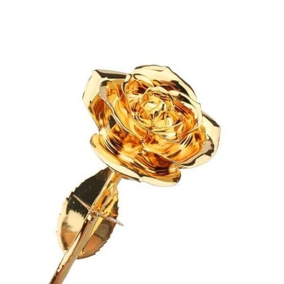 24K Gold Eternity Rose