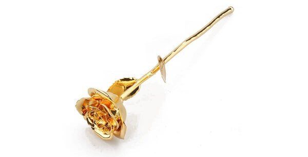 24K Gold Eternity Rose