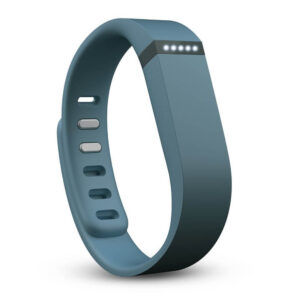 Fitbit Flex Wristband