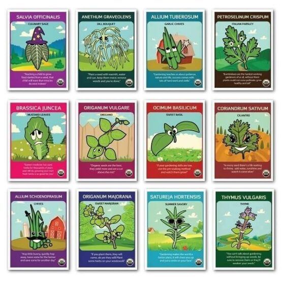 Zziggysgal 12 Pack Certified Organic Herb Seeds