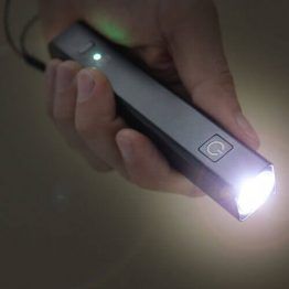 ChargeLight Flashlight and Charger