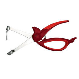 Animal House Woodpecker Cherry Olive Pitter