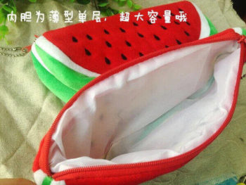 BIG Volume Watermelon Case