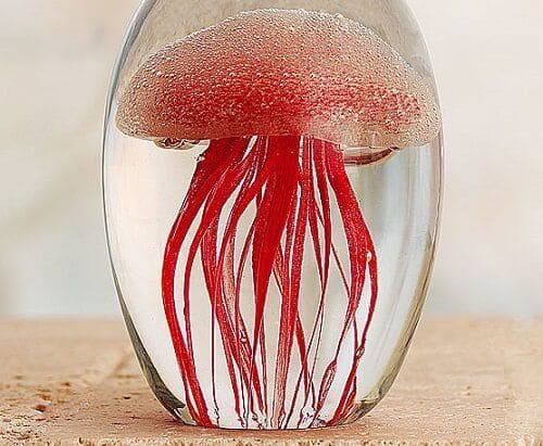 Glass Jellyfish Paperweight