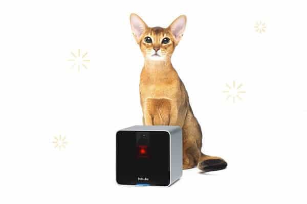 Petcube Camera