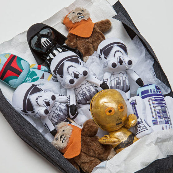 Star Wars Bouquet