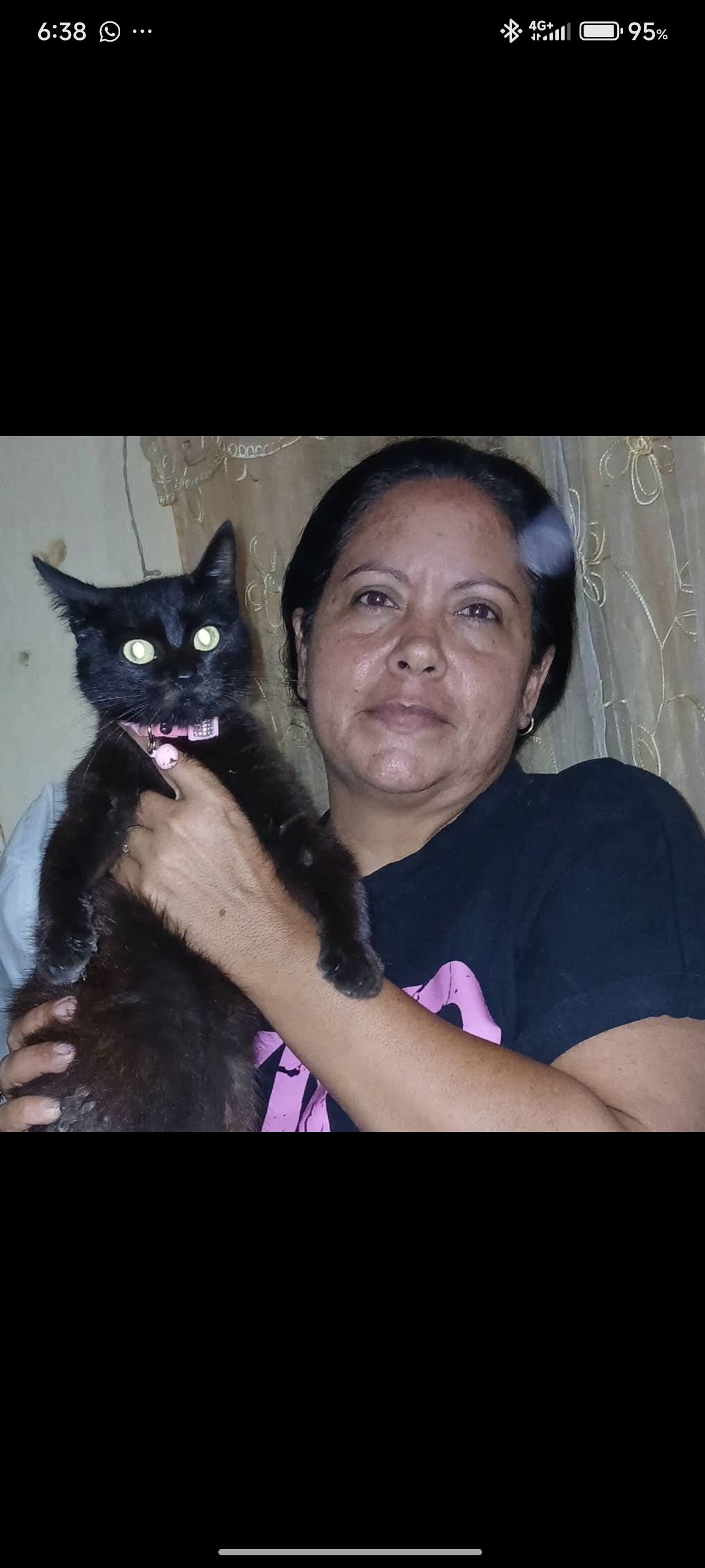 Imagen de mascota lista para ser adoptada