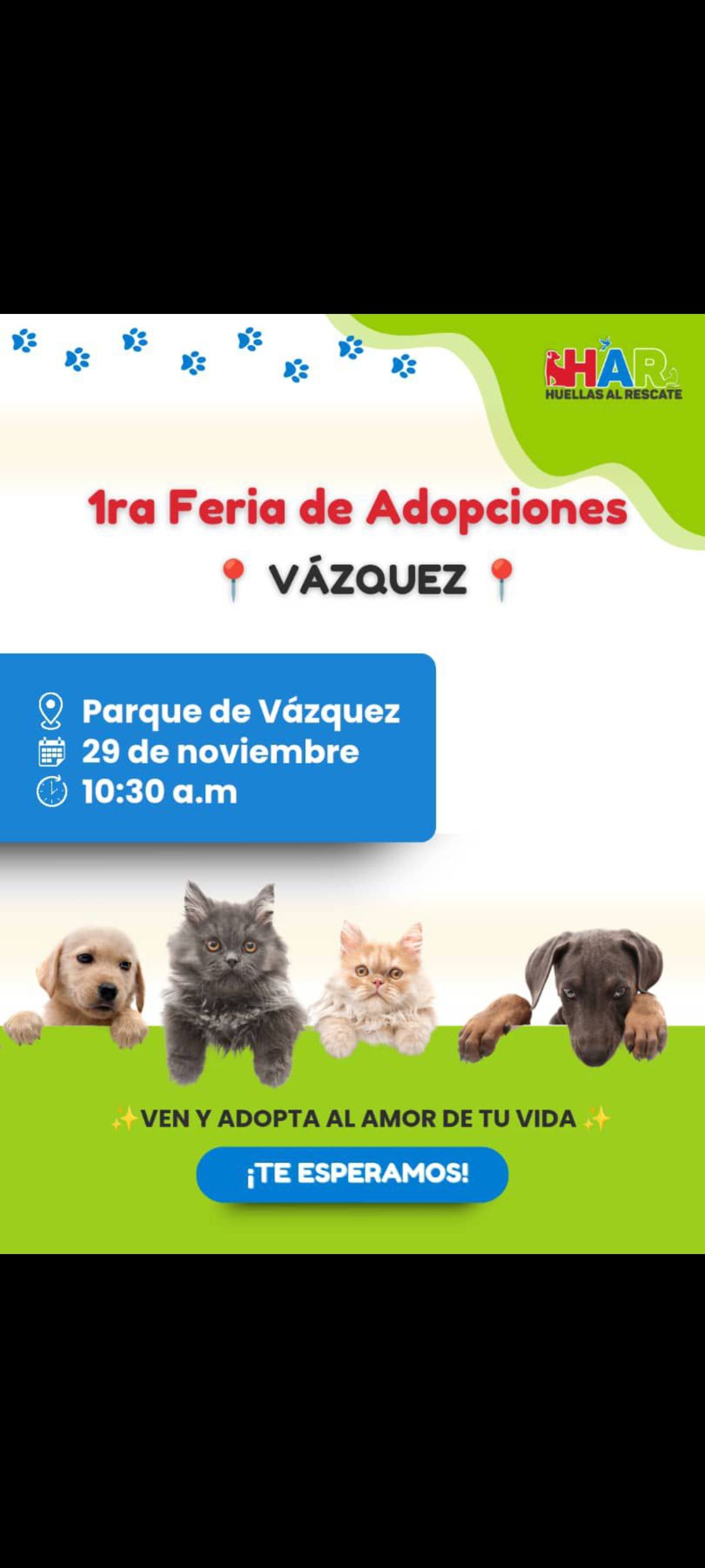 Imagen de mascota lista para ser adoptada