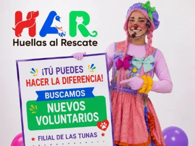 Desarrollo