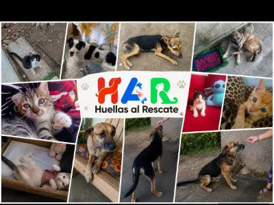  AGRADECIMIENTO AL EQUIPO DE SEGUIMIENTO 