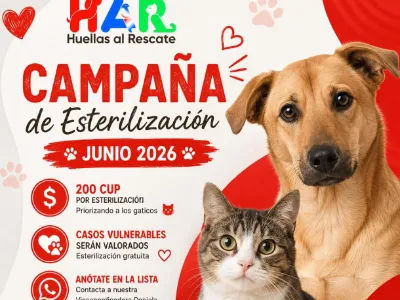 Filial Puerto Padre 
