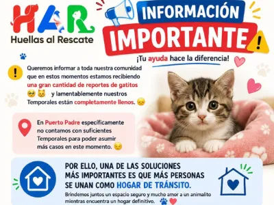  Información Importante | Huellas Al Rescate 