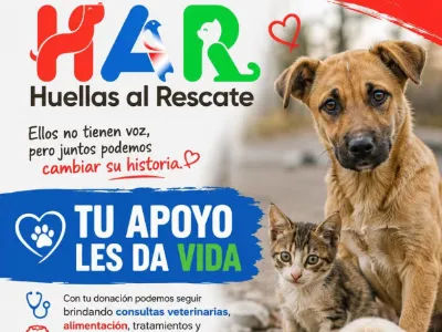  Filial Delicias necesita de todos nosotros 