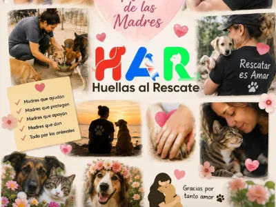 Mamás perrunas y gatunas