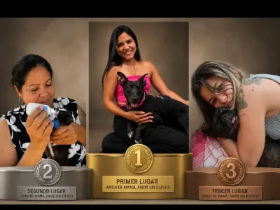 Ganadores