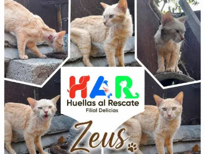 ¡¡Así vamos con Zeus!!!