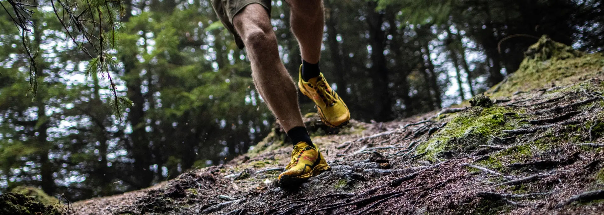 All-Terrain Running Shoes Gearing Up for Any Adventure All-Terrain Running Shoes Gearing Up for Any Adventure