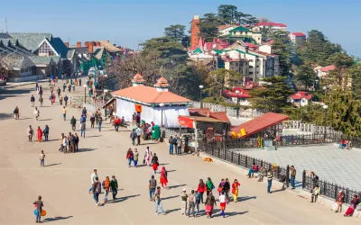 book gurgaon to shimla urbania van