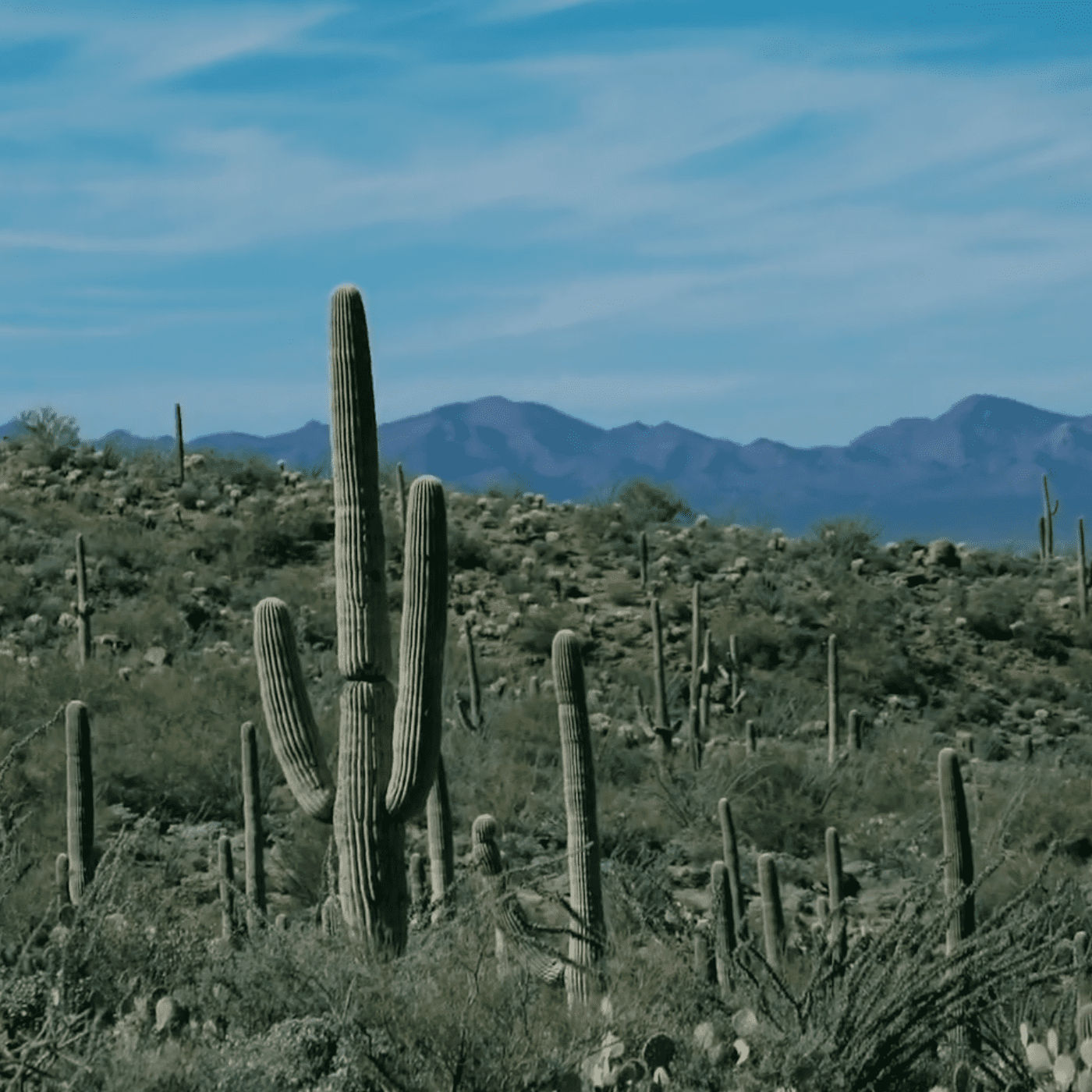 Arizona Downtown Hotels