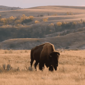 North Dakota Downtown Hotels