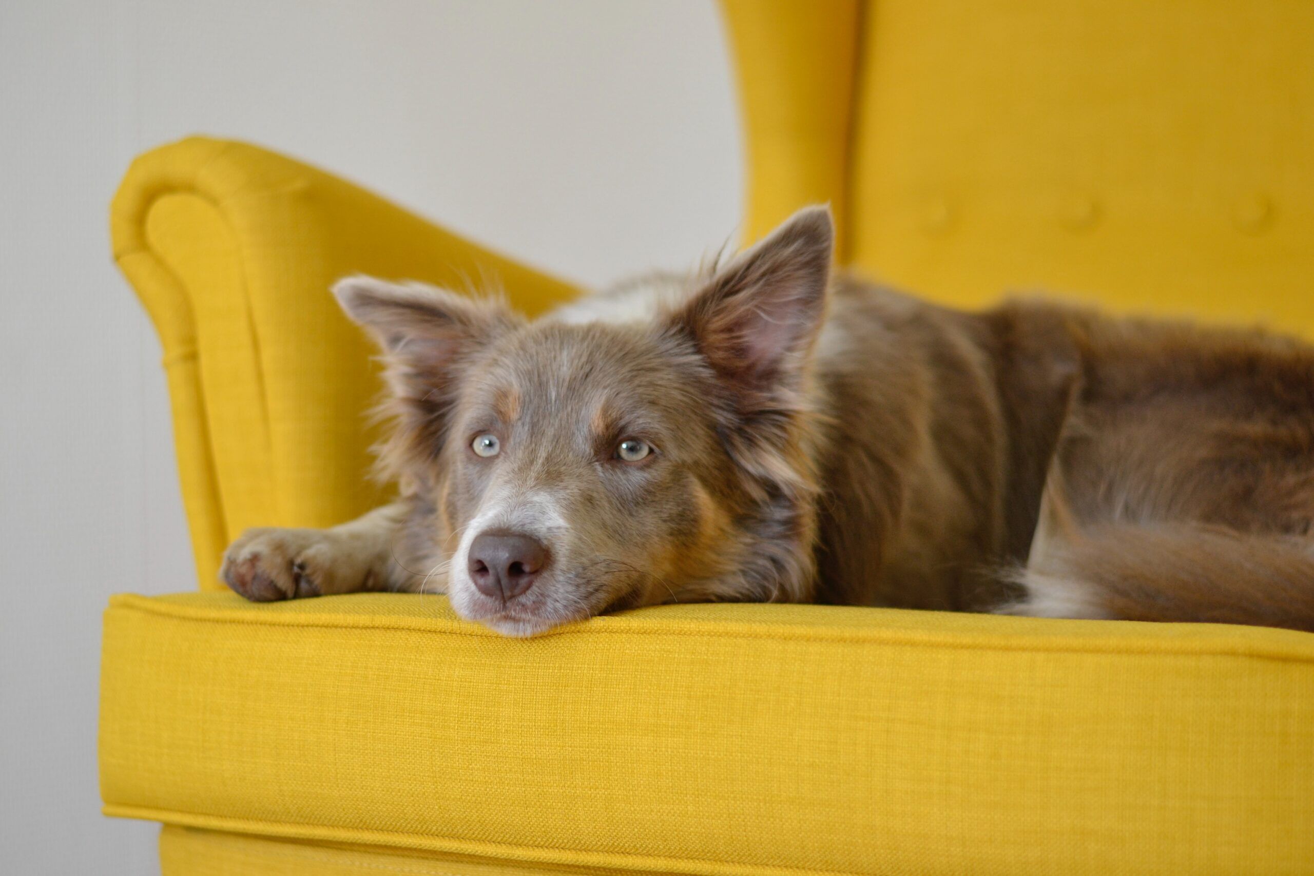 Voici la bonne routine à adopter pour une maison propre et bien