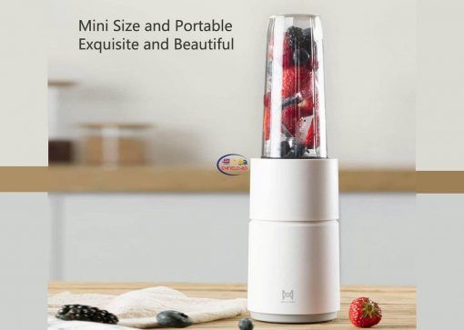 Xiaomi Pinlo 30000rpm High Speed Blender Enfield-bd.com