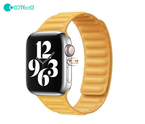 Fitness & Wearable Coteetci Strap-Loop For iWatch 42mm/44mm Leather Soft Leather Dual Magnetic Enfield-bd.com