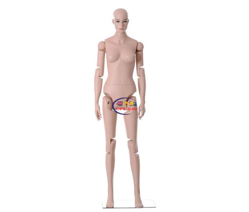 Full Body Mannequin Mannequins And Display Dummy 5′ 11″ Realistic Posable Female Mannequin A-00230-z Enfield-bd.com