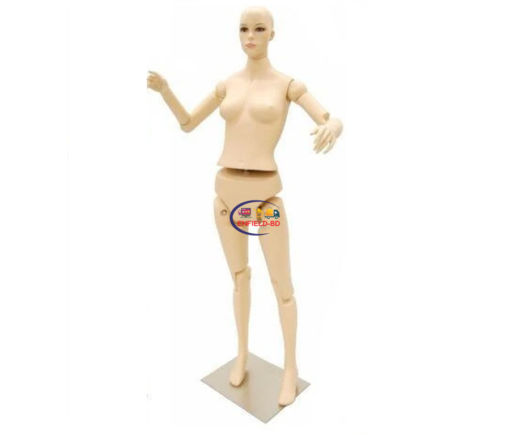 Full Body Mannequin Mannequins And Display Dummy 5′ 11″ Realistic Posable Female Mannequin A-00230-z Enfield-bd.com