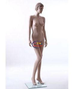 Full Body Mannequin Mannequins And Display Dummy Realistic Female Mannequin Skin Color A-002960-Z Enfield-bd.com