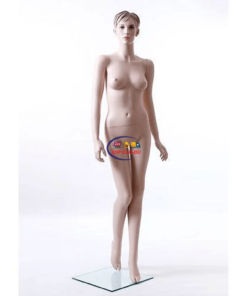 Full Body Mannequin Mannequins And Display Dummy Realistic Female Mannequin Skin Color A-002970-Z Enfield-bd.com