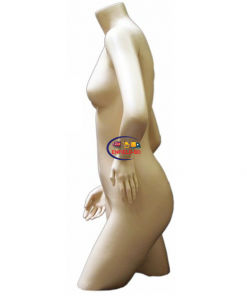 Half Body Mannequin Mannequins And Display Dummy Athletic Headless Female Torso Fiberglass Skin Color P-710-S Enfield-bd.com 