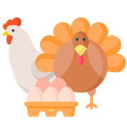 FRESH GROUND TURKEY