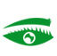eyebrow transplant in Dubai