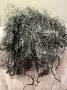 פאות וזקנים לפורים
