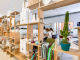 60f6834f9dcde.webp