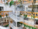 61035aab3ea02.webp