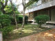 612e1db82a815.webp