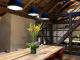 613087f856220.webp