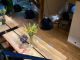 6130c7df0429e.webp
