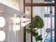 63075a0461399.webp