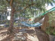 63e2467b41da6.webp