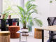 64907a266ca95.webp