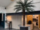 65afed87c2c29.webp