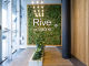 65e9ce99ef527.webp