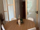 66e9a62fc5dd4.webp